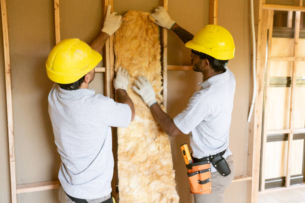 Professional Insulation Services in Southworth, WA